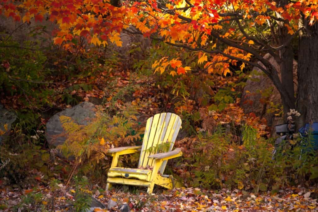 empty_chair_fall_ED_549471076