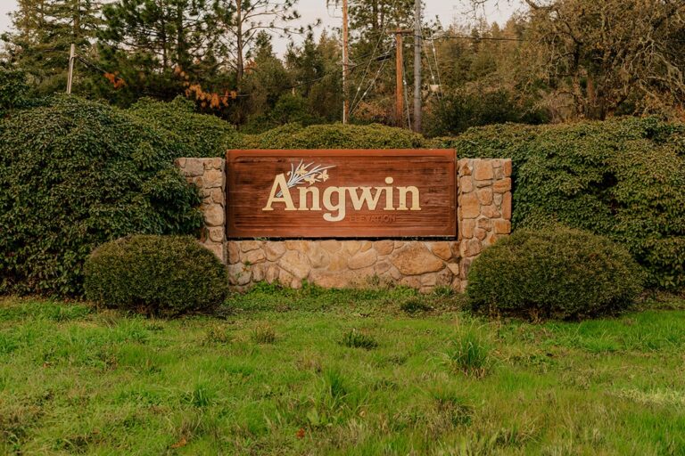 Our Lunch & Learn Series Continues in Angwin
