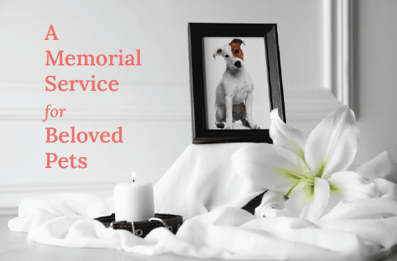 PetMemorial_Flyer_Fall2026_SM